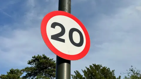 A round 20mph sign is attached to a black pole. An overcast sky and the tops of trees are visible in the background. 
