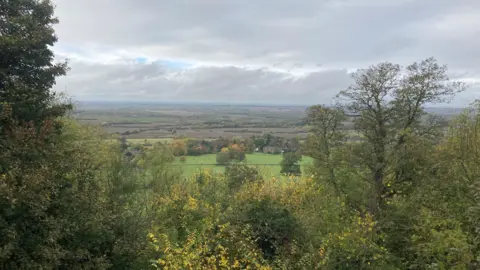 Fields stretching into the distance, viewed from a higher level behind some trees.