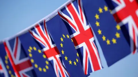 Getty Images UK and EU flags