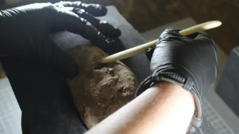 Oxford Cotswold Archaeology A person wearing black gloves works to remove dirt and pieces of earth that surrounds the bundle of coins. They use a cream coloured tool to unfurl the lead covering.