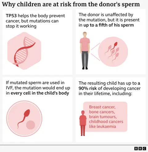 O infográfico explica como uma mutação do gene TP53 no esperma de um doador pode levar a um risco aumentado de câncer em crianças concebidas por fertilização in vitro. O painel superior esquerdo mostra uma fita de DNA com o texto: 