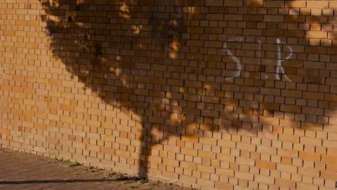 Archie Byron The photograph shows the shadow of a tree on a brick wall with the initials S+R sprayed in white paint on the wall. 