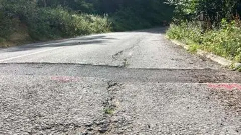 A close-up picture of a road with a crack all the way down the middle of it. There is shrubbery on the verges on either side of the road.