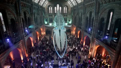 Getty Images Guests mingle below a blue whale skeleton named Hope