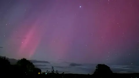 Eve/BBC News NI Weather Watcher Purple beams of light streak across the night sky, with a scattering of stars and clouds. Below are the dark silhouettes of trees, bushes and houses. 