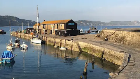 Robin Stott The Cobb breakwater at Lyme Regis in low sun. On the inside of the stone breakwater on the left of the picture are a number of small boats moored in the harbour. Two buildings with pitched roofs and chimneys stand on the end of the breakwater. The sloping cliffs of the Jurassic Coast are in the background.