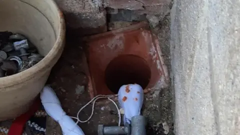 The Scratching Post Drain where kittens were trapped