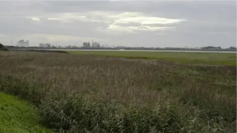 Tom Richardson / Wikicommons A shot, from a distance, of the former ICI works in Thornton-Cleveleys. It can be seen on the horizon over marshland.