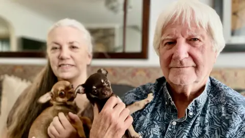 A man and woman, each holding a small dog in their arms 