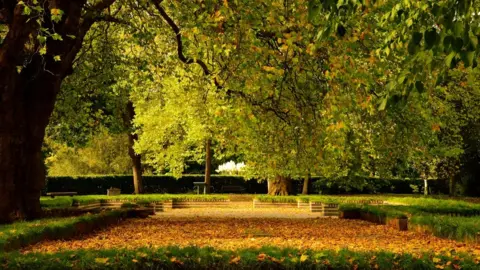 Rebecca Jones Bute Park, in Cardiff, by Rebecca Jones