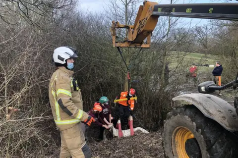 Hertfordshire Fire and Rescue Service Horse rescue