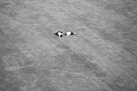 Jemima Yong Photograph from the series Field, 2020