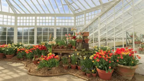 National Trust Glasshouse