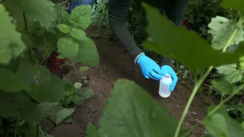 Residents testing in a stream near the base using blue gloves to collect water in a bottle.