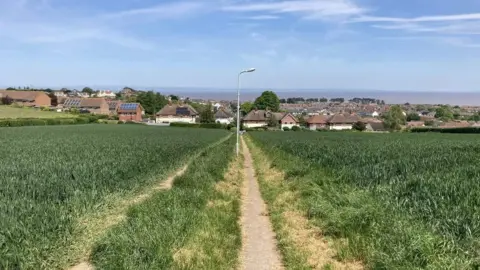 Daniel Mumby View Of Watchet From Copse Grove Footpath - houses and the sea in the distance