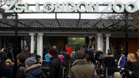 Reuters Visitors queuing for the entrance on Sunday