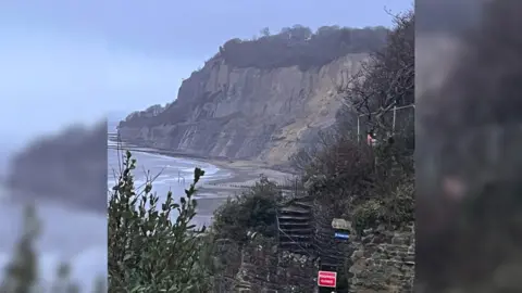 Ann Heard Luccombe isle of wight