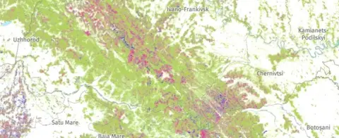 Global Forest Watch The purple areas on this map of western Ukraine and its neighbours shows the loss of tree cover since 2001