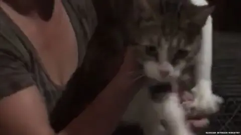 Russian Interior Ministry A cat being held by an animal keeper