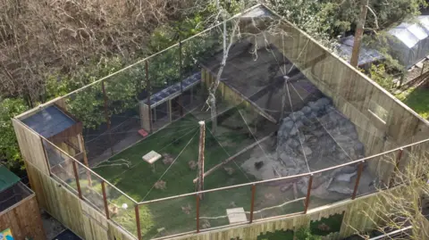 Hertfordshire Zoo A close up of the aviary which has four sides and areas where the public can see the birds of prey. It is surrounded by trees, and the inside of the closure is covered with grass.