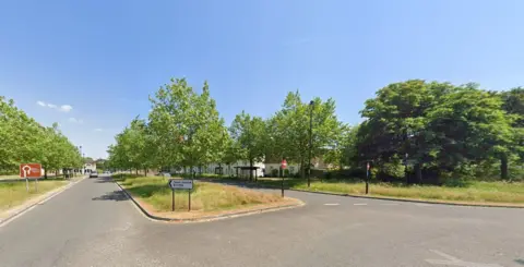 Tree lined road with island also with a line of trees down the centre. A brown sign showing a roundabout stands on the left and a Town Centre sign on the central island.