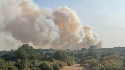 Smoke rising above the New Forest.