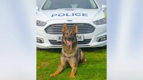 Northamptonshire Police Police dog Gru, sat in front of a police car