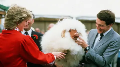 Getty Images A woman with short blonde hair wearing a red jacket strokes a toy sheep that is being held by a man wearing a grey suit. The toy is made from white fluffy cotton to simulate the wool and has a wooden face. 