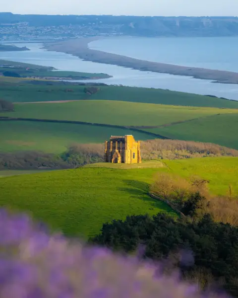 bennykapur   SUNDAY - Abbotsbury