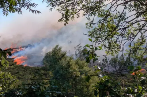 Elvie Drinkwater. Fuego y humo en Conwy. Se está quemando mucha vegetación.