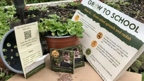 Bradford Council Seed kits