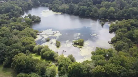 A large quarry with a wooden pier over it, surrounded by many large green trees.