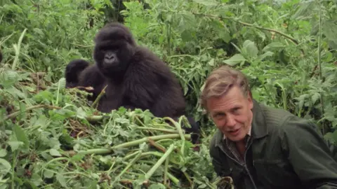 Sir David Attenborough alongside a gorilla