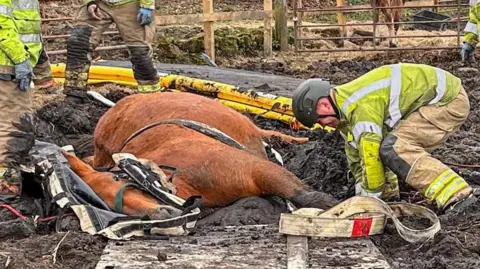 A firefighter in a high-vis uniform crouches beside a horse which is on its side and stuck in the mud. The horse is brown and has its eyes open.