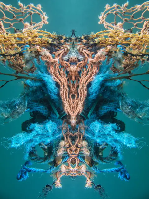 BBC structuralism.jpg