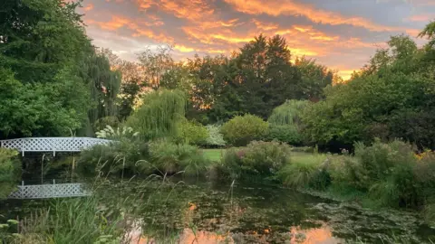 Gooderstone Water Gardens View of a garden with a large pond in the foreground and a white bridge over the water on the left side of the picture. It is sunset and the orange light of the sun is reflected in the water and contrasts with the many shades of green from the plants. 