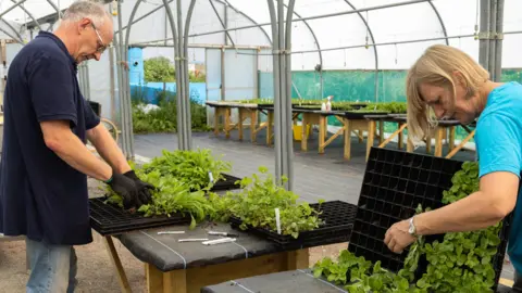 WWT A man and a woman tending to plug plants in a polytunnel at Slimbridge 