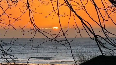 gardenerlou Sunrise on a beach. Trees are in front of the camera. 