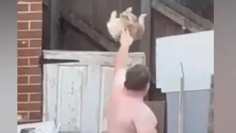 A screengrab from a video showing Marchant, who is topless and throwing the dog, which has fair-coloured fur, over a white garden gate at the side of his house.