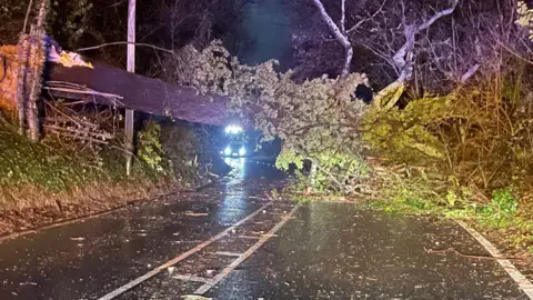 Dorset Police Special Constabulary A large uprooted tree blocks a two-way road at night. A lorry can be seen in the distance.
