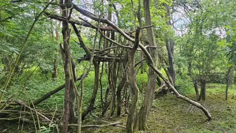 Far Ings A medium-sized den built from branches has been put up in a wooded area with green trees all around. 