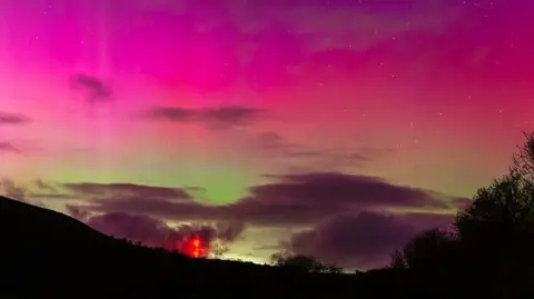 The Northern Lights glow pink and green above a hill and trees.