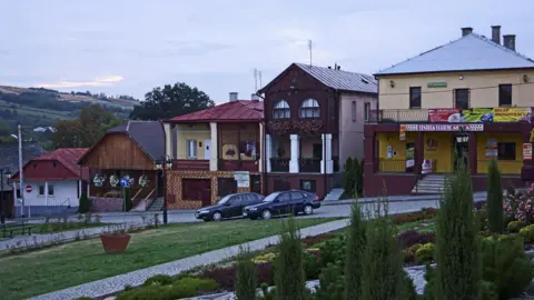 Getty Images Houses on a road in Pruchnik, Poland. In the foreground are some gardens.