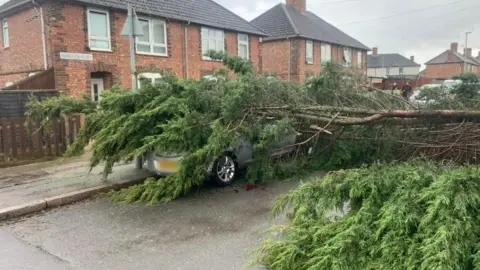 Kye Simons Tree on car in Leicester