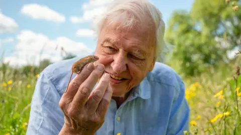 David Attenborough sitting in a meadow surrounded by green fields 