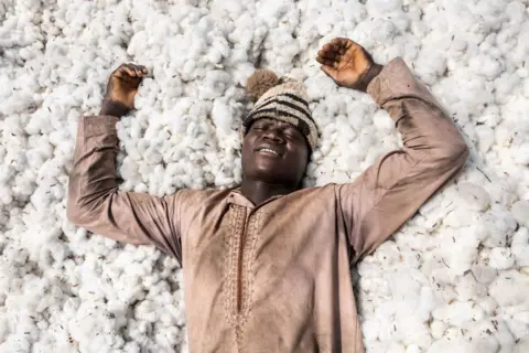 OLYMPIA DE MAISMONT / AFP A man smiles and lies on top of a huge mound of fluffy, picked cotton.