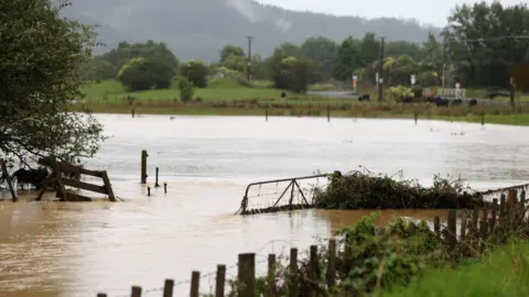 Getty Images A flooded field in New Zealand