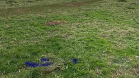 BBC Dog mess sprayed with purple biodegradable paint