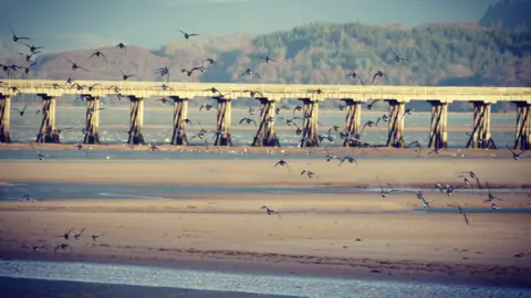 Hannah Parkinson birds over Barmouth estuary