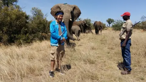 Poynting Researcher Alistair Yan from the University of Pretoria in South Africa with a tagged elephant